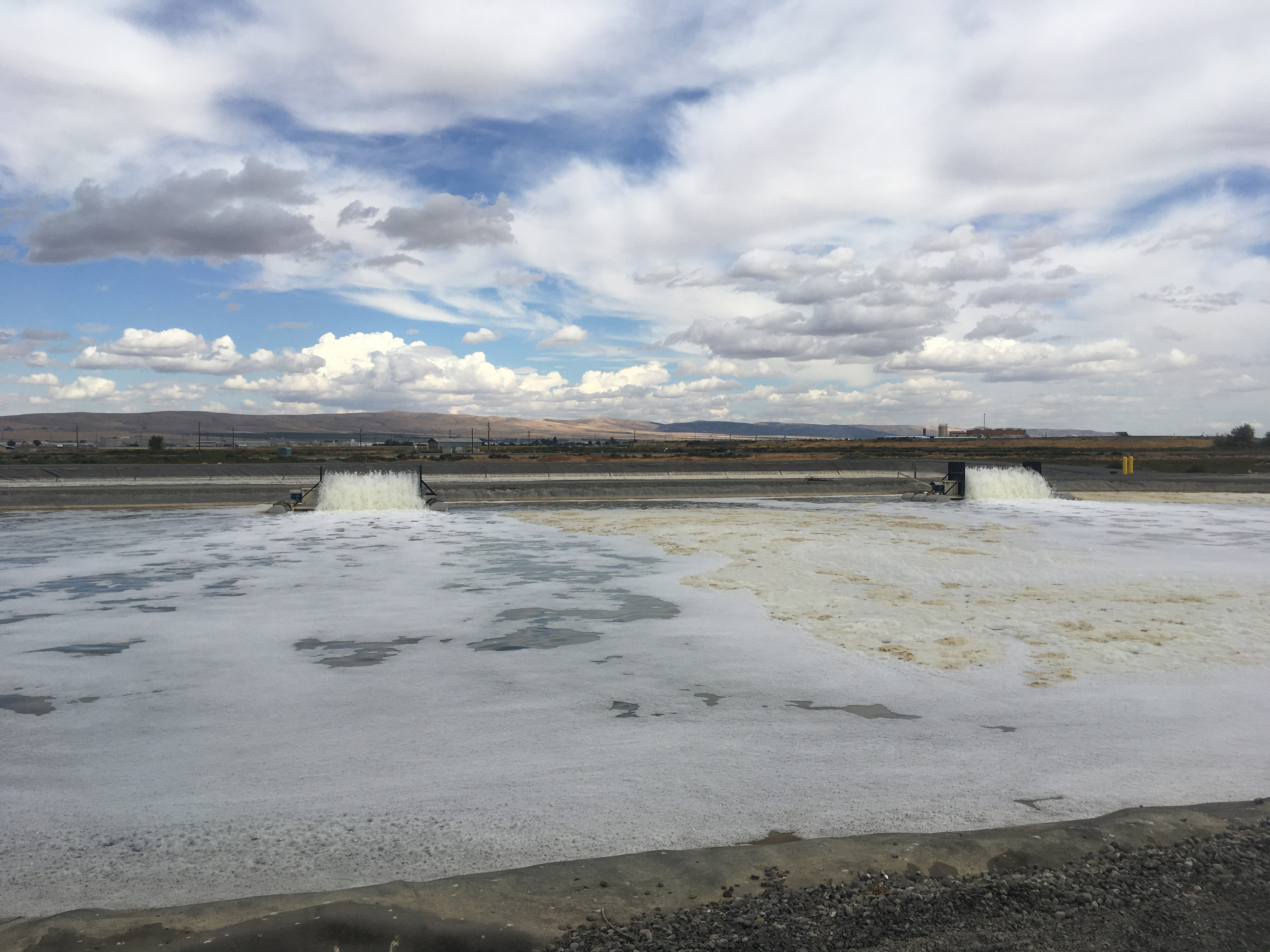 IMG_4841 web.jpg House Industries